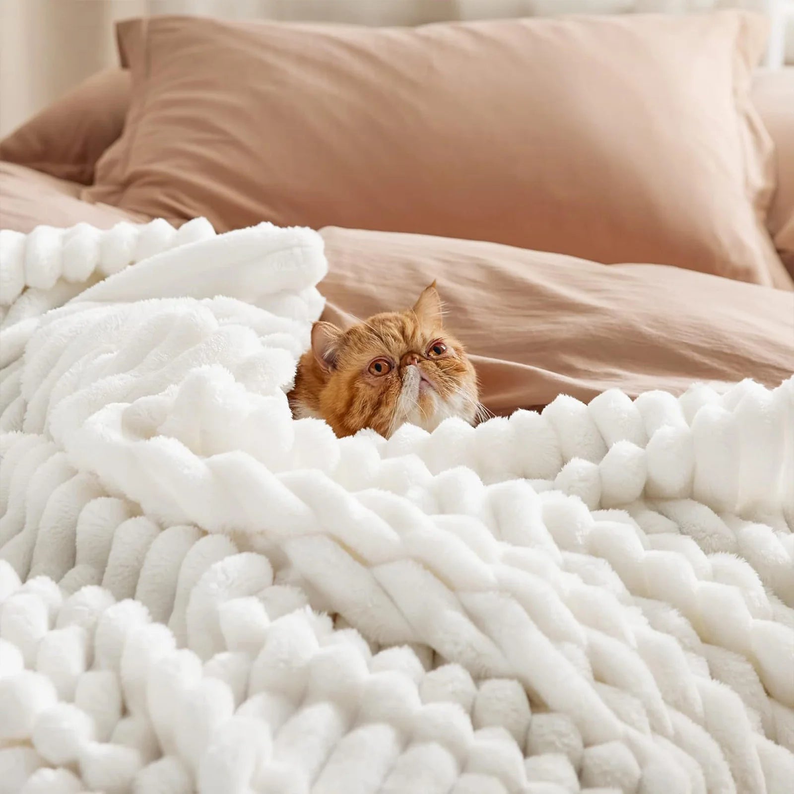Soft Cosy Blanket | Solid Colour Coral Fleece Quilt for Living Room & Bedroom
